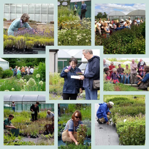 Jekka's Open Days & Charity Days